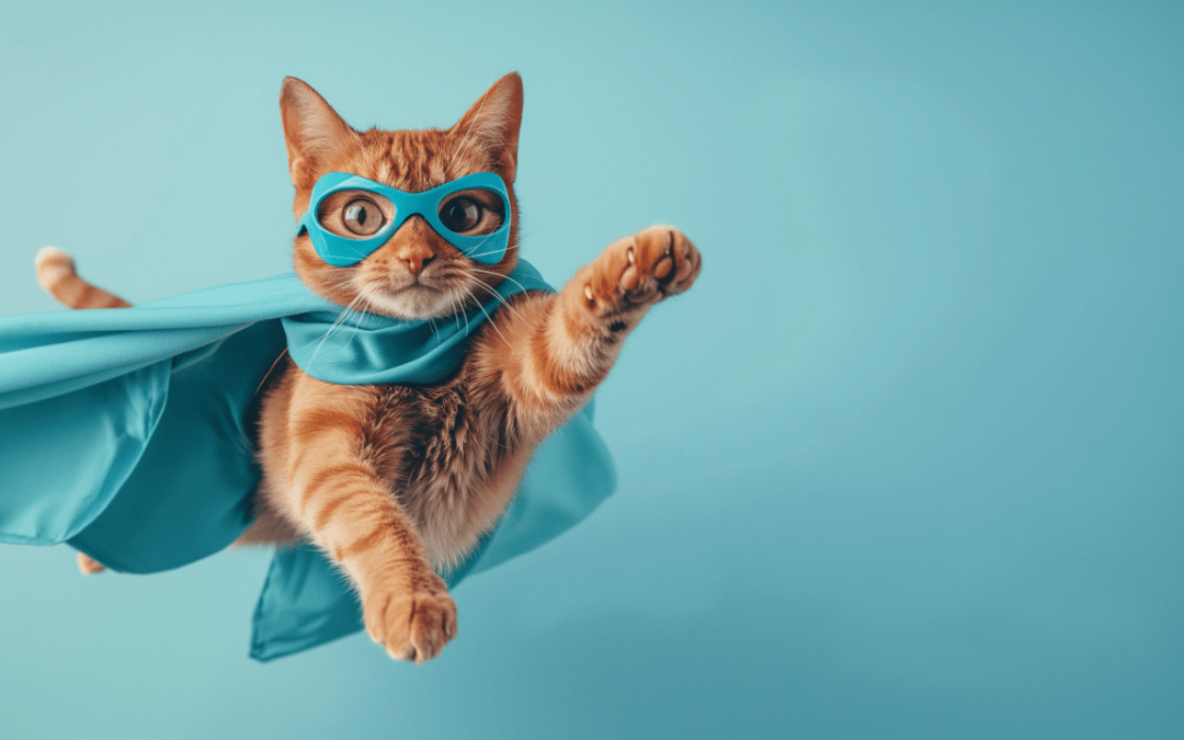 Chat super héros