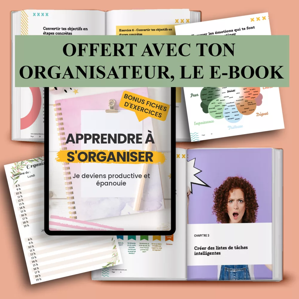 Organisateur MultiGirl Notion – Image 5